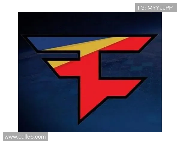 LNG战队的荣耀与挑战：CSGO赛场上的奋斗与成长之路