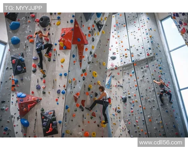 北京攀岩队节奏表现的数据分析与训练策略探讨