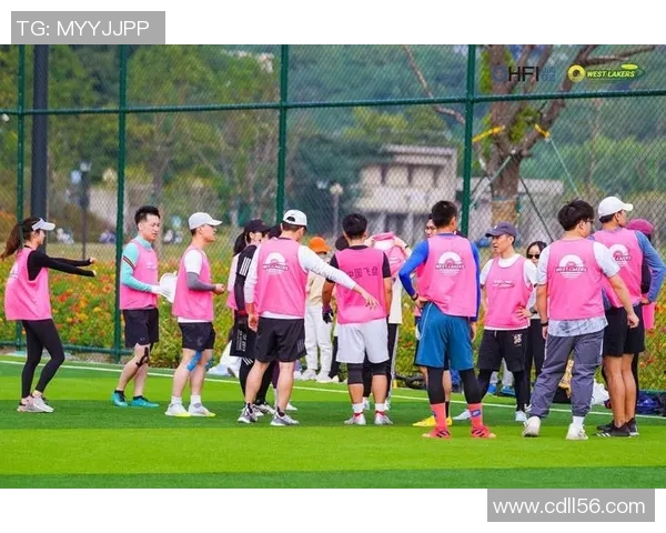 杭州飞盘队的战术分析与比赛表现的优劣势探讨