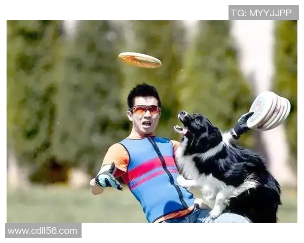 飞盘新手必看：灵活性训练与技巧全面入门指南