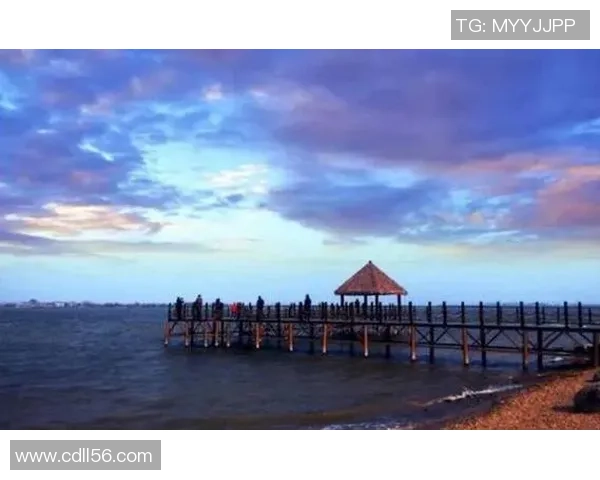 挪威20与洪都20的全面对比分析与市场前景探讨